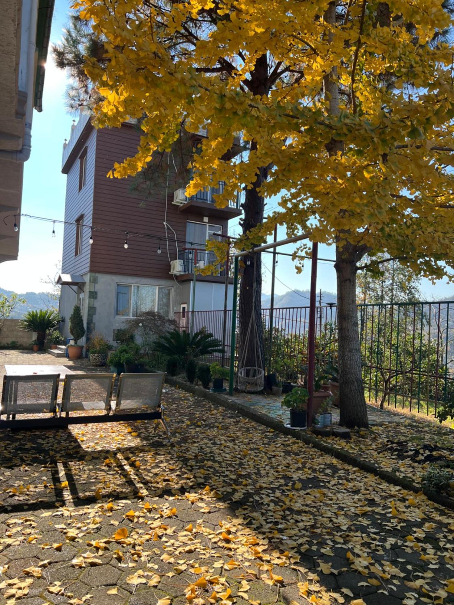 Gt House Batumi Ξενοδοχείο Εξωτερικό φωτογραφία