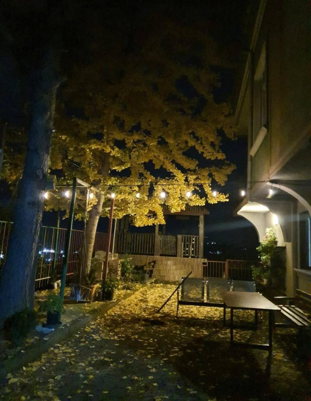 Gt House Batumi Ξενοδοχείο Εξωτερικό φωτογραφία