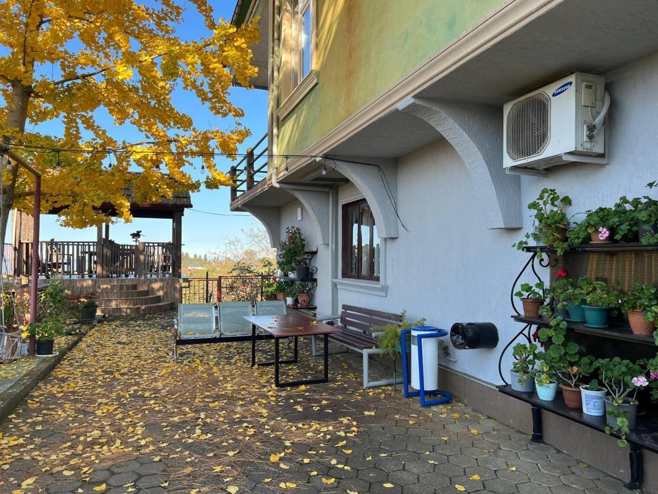 Gt House Batumi Ξενοδοχείο Εξωτερικό φωτογραφία